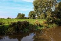 Buxtehude