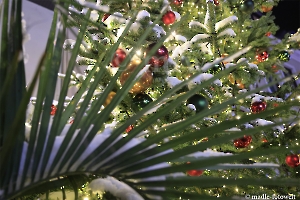 Wintermärchen Buxtehude 2023