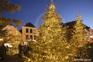 Buxtehude