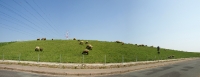 Das Alte Land