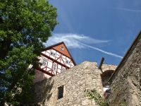Burg-Bodenstein_P6300104-(160)w