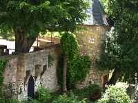 Burg-Bodenstein_P6300104-(92)w