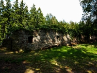 Burgruine Hanstein