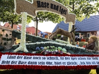 Hase_Igel_mfw12__008456