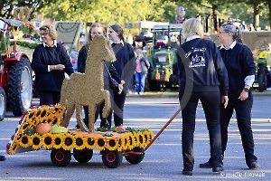 Jugendwagen