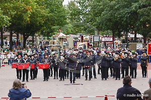 Stadtfalken Schneeverdingen
