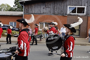 Stadtfalken Schneeverdingen