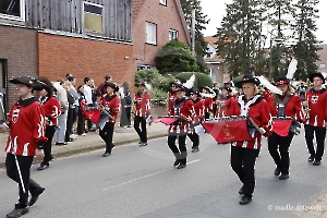 Stadtfalken Schneeverdingen