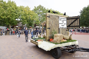 weitere Festwagen