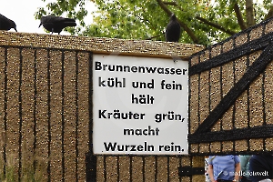 weitere Festwagen