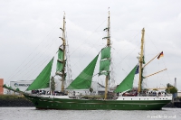 Einlaufparade 2019