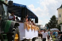 Sambaumzug - Sommerspektakel Kübo 2015