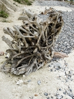 Insel Rügen