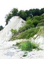 Kreidefelsen