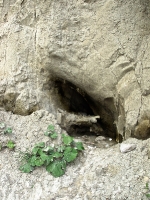 Kreidefelsen