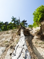 Insel Rügen