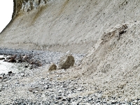 Kreidefelsen