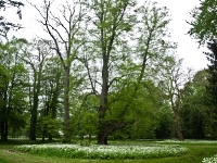 Insel Rügen