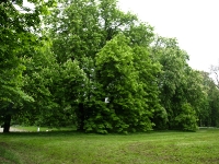 Putbus