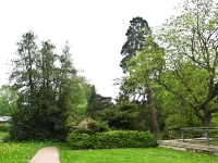 Insel Rügen