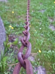 Insel Rügen
