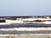 Rügen