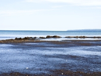 Rügen