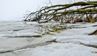 Insel Rügen