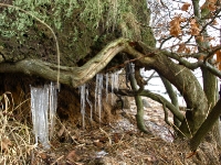Insel Rügen