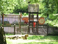 baerenpark_worbis_AA273286