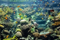 tropen-aquarium-hagenbeck_mfw13__015286