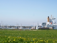 Nordsee Main