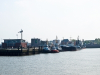 Nordsee Main