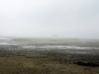 Nordsee Main