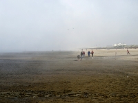 Nordsee Main