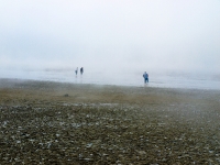 Nordsee Main