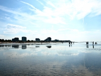 Nordsee Main
