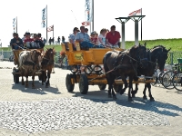 Nordsee Main