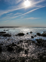 Nordsee Main
