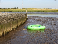 Nordsee Main