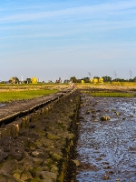 Nordsee Main