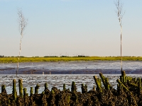 Nordsee Main