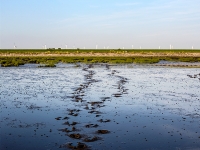 Nordsee Main