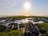 Nordsee Main