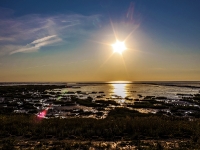 Nordsee Main
