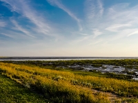 Nordsee Main