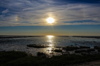 Nordsee Main