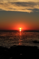 Nordsee Main