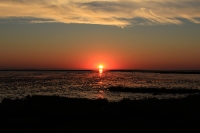 Nordsee Main