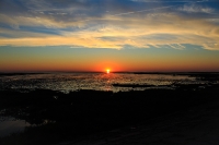 Nordsee Main